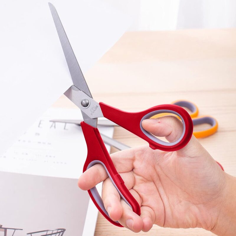 Deli Clasic Stainless Steel Scissors
