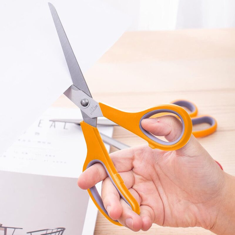 Deli Clasic Stainless Steel Scissors