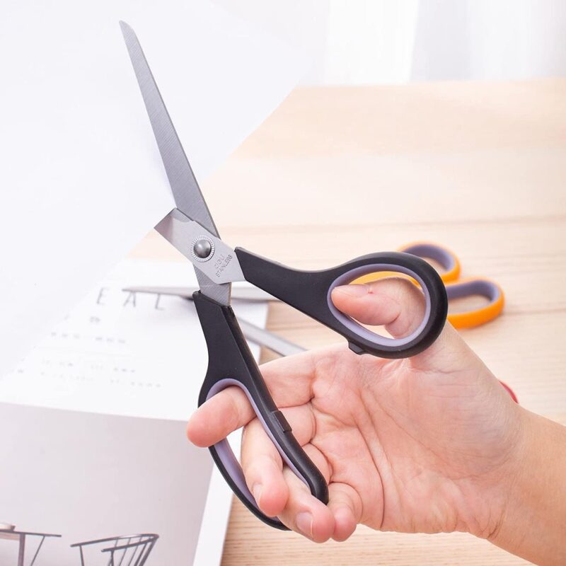 Deli Clasic Stainless Steel Scissors